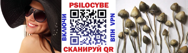 МЕГА рабочий сайт Елизаветинская Галлюциногенные грибы GOLDEN TEACHER